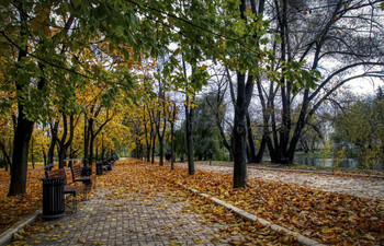 Когда приходит осень... / у Новодевичьего монастыря