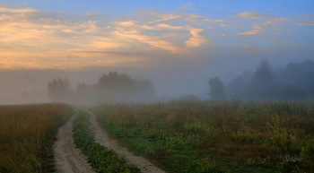 В полях Мещеры. / Летнее утро в поле на юго-востоке Московской области.