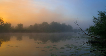Тихое утро. / Рассвет на озере Студёное. Юго-восток Московской области. Мещера.