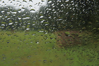 Дождливый день в деревне / Село Никифоровское, зубцовский район, тверская область
