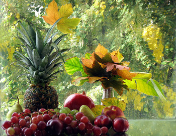 фруктовый набор / осень, фрукты, дождь, осенние краски