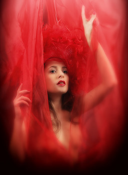 &nbsp; / свет, модель, цвет