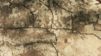 &nbsp; / Время берет свое.