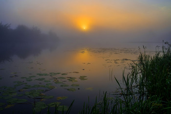 Туман. / Летний рассвет на озере Сосновое. Мещера.