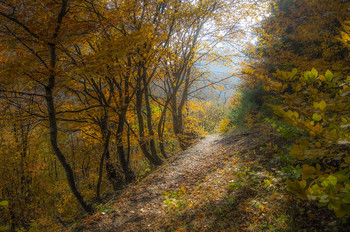Запахло осенью слегка / Дигорское ущелье.Республика Северная Осетия-Алания.