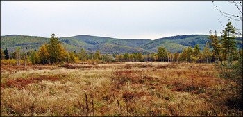 Запахло осенью слегка / Осень