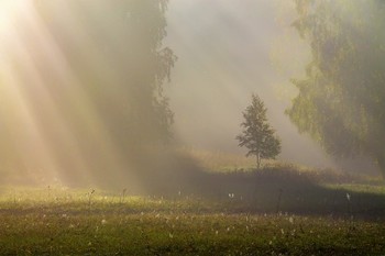 Предисловие / Осеннее утро в горах Урала