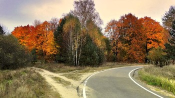 Налево осень, направо осень, подожду бабьего лета / Налево осень, направо осень, подожду бабьего лета