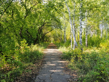 тропинка в сад !!! / тропинка в сентябре