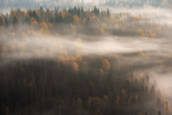 Осенний туман / Пермский край