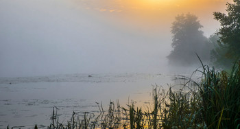 Осень, утро, туман. / Туманный пейзаж на озере Сосновое. Мещера.