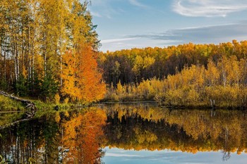 Золотая осень / озеро Светлое,п.Залесный,Татарстан