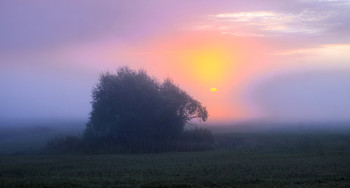 Утренний туман. / Густой туман в поле.Осень, Мещера.