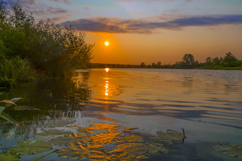 В сентябре. / Сосновое озеро на рассвете.