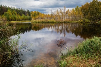 озеро Моховое / озеро Моховое,п.Габишево,Татарстан