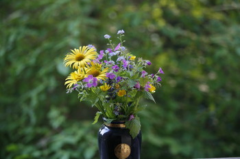 Летний букет / В выходной летний день собрал полевые цветы у дома, поставил в старую вазу и сфотографировал на фоне куста.