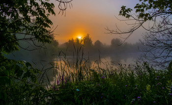 Утренний пейзаж. / На юго-востоке Московской области, в полях Мещеры, есть озеро Студёное.