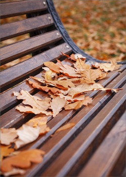 Осенний этюд / ***