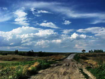 Дорога к полю / Лето
