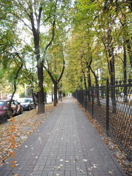 Нормальная ситуация / Фото сделано камерой на айфон 6S в парке имени Циолковского в Калуге