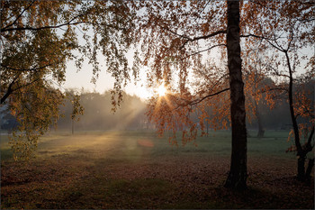 Осеннее утро... / ***