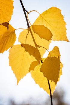 &nbsp; / октябрь