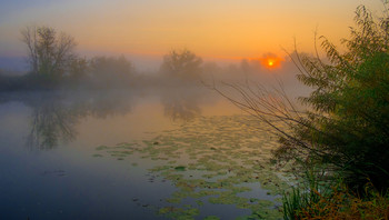 Осенняя тишина. / Утренний туман на озере Студёное. Мещера