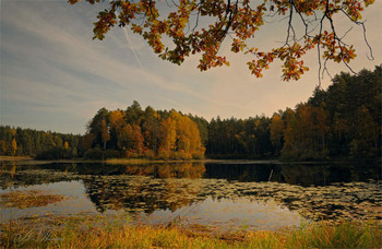 Осенняя соната / Осеннее утро на лесном озере