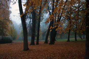 Осенняя соната / Туманное утро в парке в центре Петрозаводска