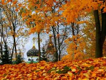 Осенняя соната / осенний пейзаж