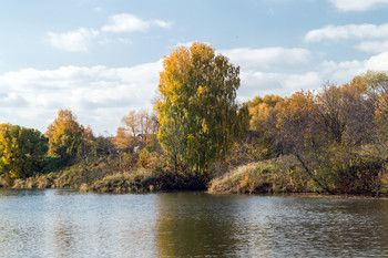 Осенняя соната. / ***