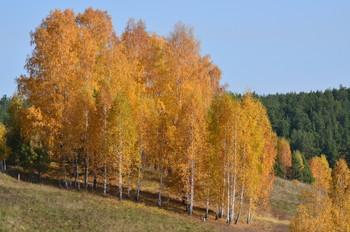 Краски осени / Осень на Урале очень красивая!
