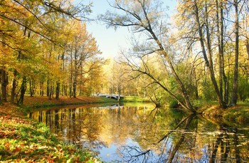 Утро в октябре / Александровский парк