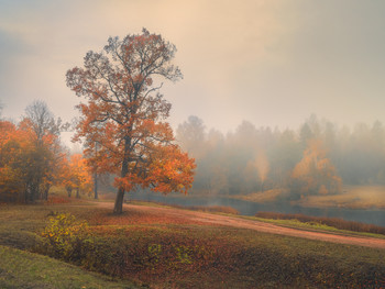Винтажная осень. / Октябрьским утром в Приоратском парке, Гатчина.