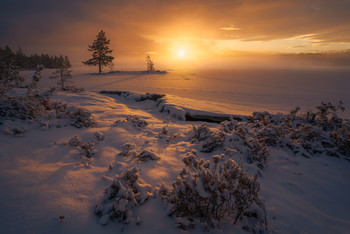 &nbsp; / A winter afternoon at a local lake in Ringerike, Norway. Frost smoke diffused the light from the setting sun.
