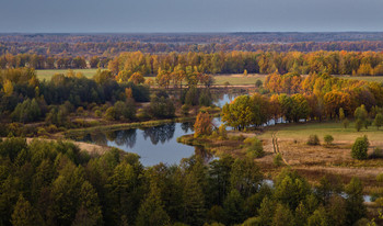 Вид на озеро Быковское / Краски октября