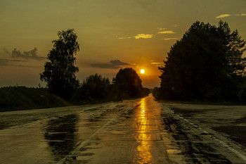 Мокрая дорога.... / Вечер, прошел дождик, низкое солнце освещает дорогу