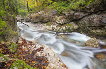 &nbsp; / Herbstbeginn in der Taugl