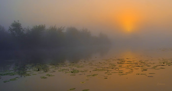 На озере густой туман. / Туманное утро в конце лета на озере Сосновое. Мещера.