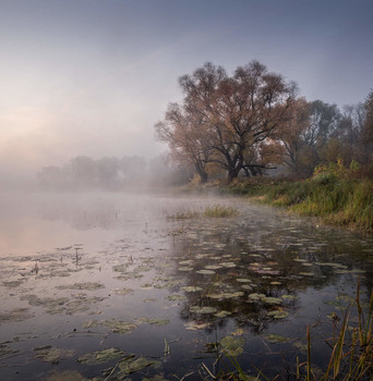 На озере осень / Утро на озере