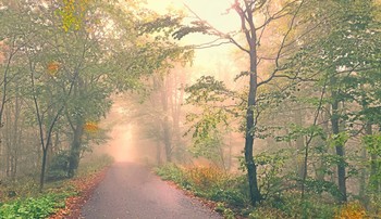 Когда уходит розовый туман.. / Солнце разгоняет утренний туман
