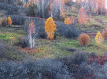 Осенними красками / Южный Урал