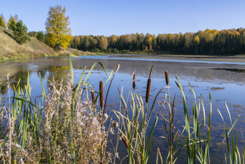 Осень на озере / Последние сентябрьские дни, хорошая погода, приятная прогулка.
