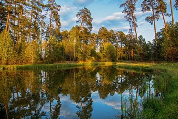 &nbsp; / озеро Светлое лебяжье,Татарстан