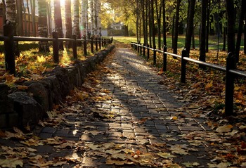 дорожка в Осень / дорожка в Осень