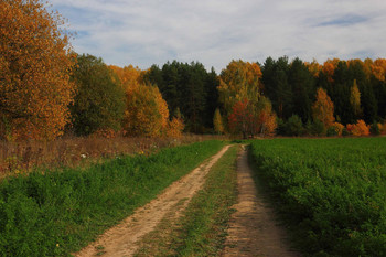 Осенние краски / Осень.