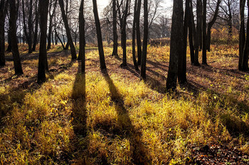 &nbsp; / октябрь