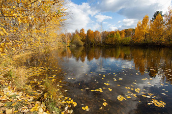 Листья на воде / .......