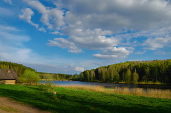 В начале лета / Беларусь. Озеро Каменка.
