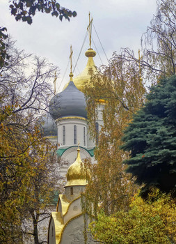 Осенние купола / в Новодевичьем монастыре